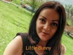 Little_Bunny_