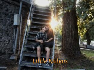 Little_Kittens
