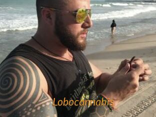 Lobocannabis