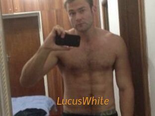 LucusWhite Porn University