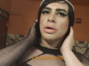 Ladanivenus