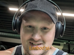ladbod36 Porn University