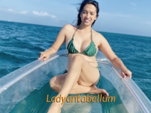 ladyantabellum Porn University