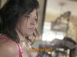 ladyvelvet Porn University