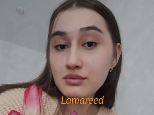 Lamareed