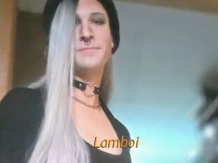 Lamboi