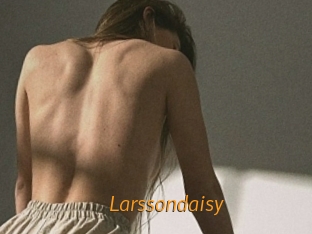 Larssondaisy