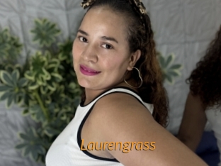 Laurengrass