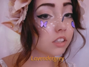 Lavendergrey