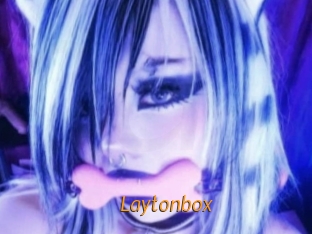 Laytonbox