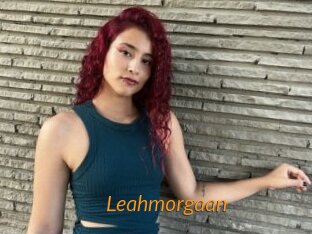 Leahmorgaan