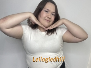Leilagledhill