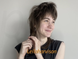 Leilaharvison