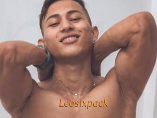 Leosixpack