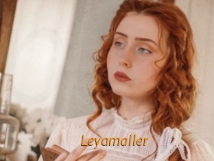 Leyamaller