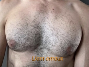 Liam_arnaux