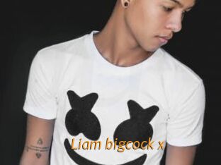 Liam_bigcock_x
