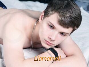 liamamell Porn University