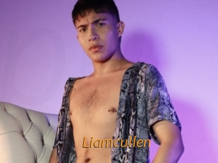 Liamcullen