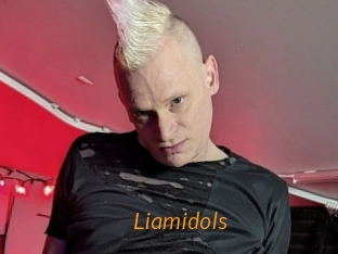 liamidols Porn University