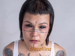 Lilacollina