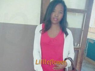 Lillteflower
