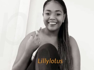 Lillylotus