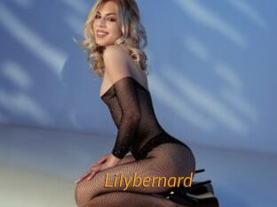 Lilybernard