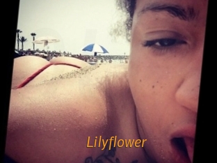 lilyflower Porn University