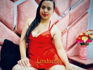 Lindachia