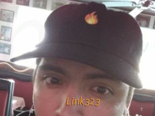 Link323