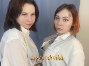 Lisaandmika