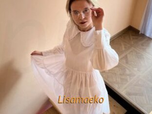 Lisamaeko