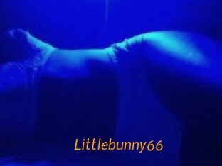 Littlebunny66