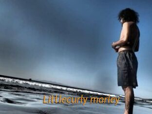 Littlecurly_marley