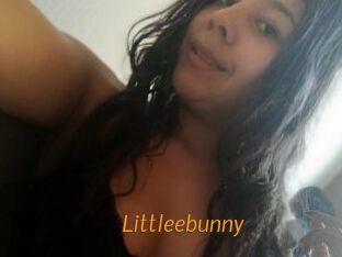 Littleebunny