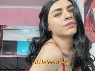 littlefeemboy Porn University
