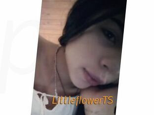 LittleflowerTS