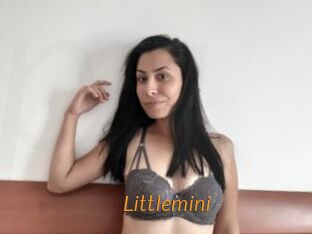 Littlemini