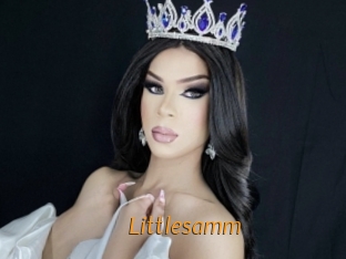 Littlesamm