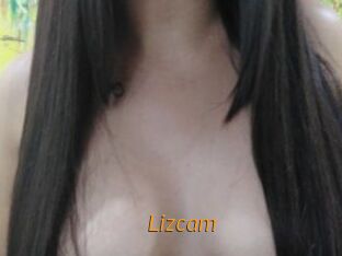 Lizcam