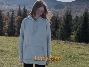 Lladybugg