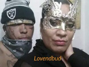 lovendbud Porn University