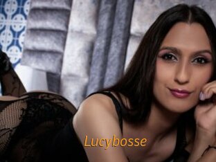 Lucybosse