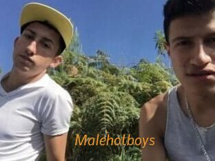 Malehotboys