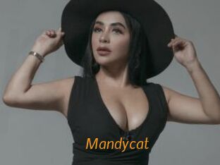 Mandycat