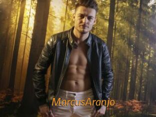 MarcusAranjo