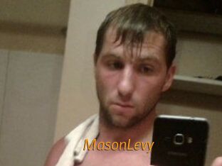 Mason_Levy