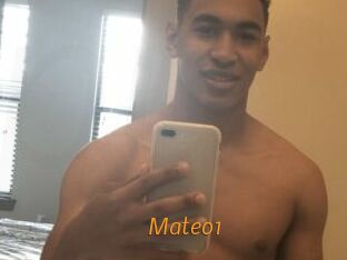 Mateo1