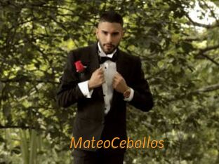 MateoCeballos